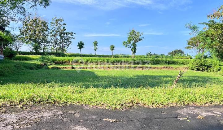 Tanah 150 Juta Strategis 15 Menit Dari Karanganyar Kota Tanah 150 Juta Strategis 15 Menit Dari Karanganyar Kota