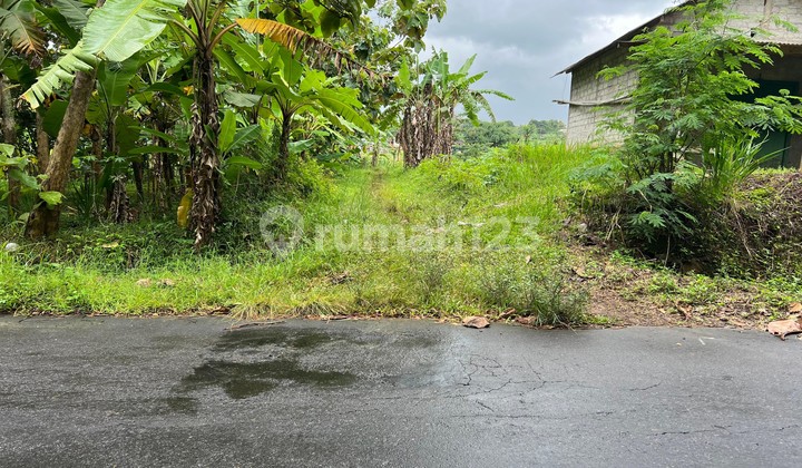 Tanah Datar Strategis 3400M² Kerjo Karanganyar Tanah Datar Strategis 3400M² Kerjo Karanganyar