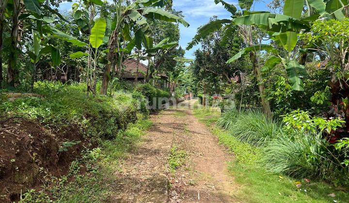Flat Land 3600M² Cool Air Karanganyar