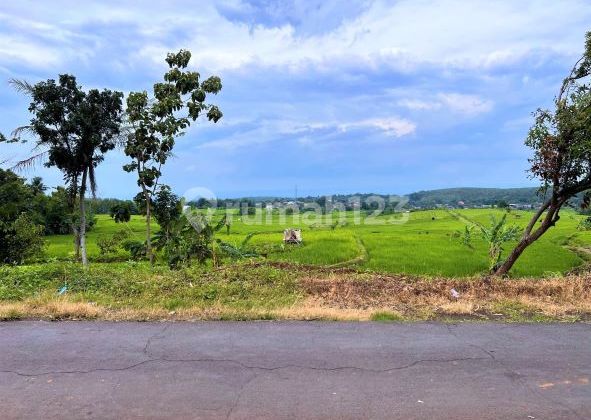 Special Land 110m 65 Million Karanganyar Work Area Special Land 110m 65 Million Karanganyar Work Area