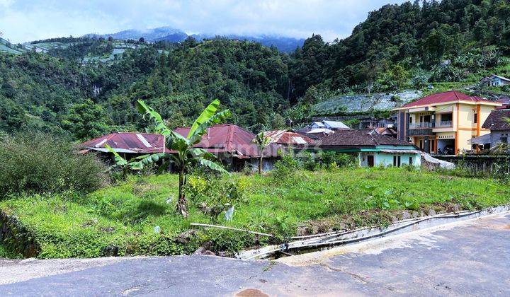 Dijual Tanah Dikelilingi Perbukitan Kemuning Harga 200JT 2