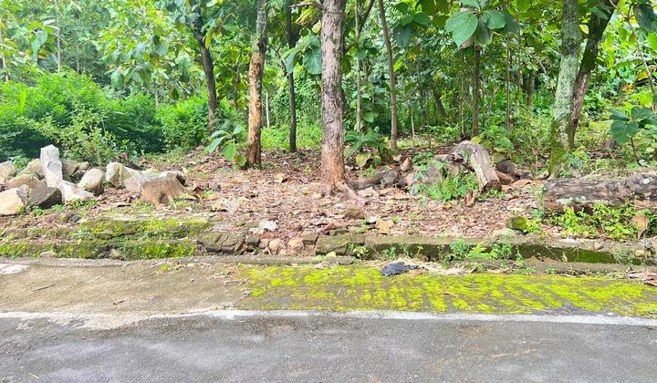 Flat Land 200 Million Suitable for Residence Karanganyar Flat Land 200 Million Suitable for Residence Karanganyar