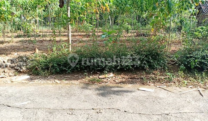 Tanah Murah 125Jt Mojogedang Karanganyar  1