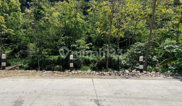 Tanah Dekat Sungai 3929m² Utara Jembatan Kaca Kemuning 