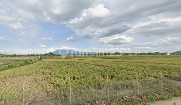 Land 150Mtn View of Mount Lawu East Jambangan Market Kedawung