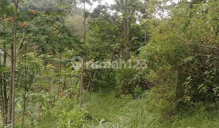 Tanah 75 Juta 1040m2 Utara Jembatan Kaca Kemuning Karanganyar Tanah 75 Juta 1040m2 Utara Jembatan Kaca Kemuning Karanganyar