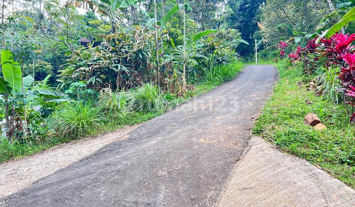 Tanah Istimewa 1 Hektar 500Juta Utara Candi Cetho Karanganyar