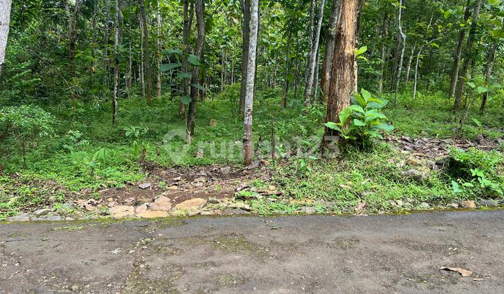 Tanah Datar 2293m² 300 Juta Karanganyar 