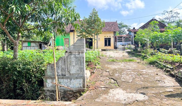 Rumah 250 Juta Utara Pasar Mojogedang Karanganyar Rumah 250 Juta Utara Pasar Mojogedang Karanganyar