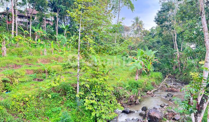 Tanah 1690m² Dekat Aliran Sungai Ngargoyoso  
