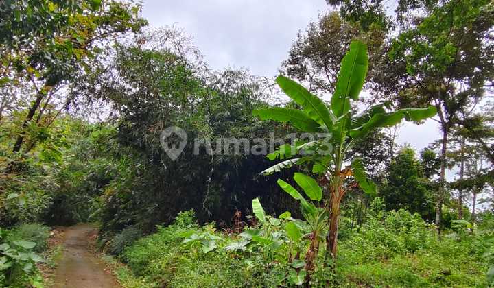 Tanah Datar 1471m² Barat Pasar Karangpandan 