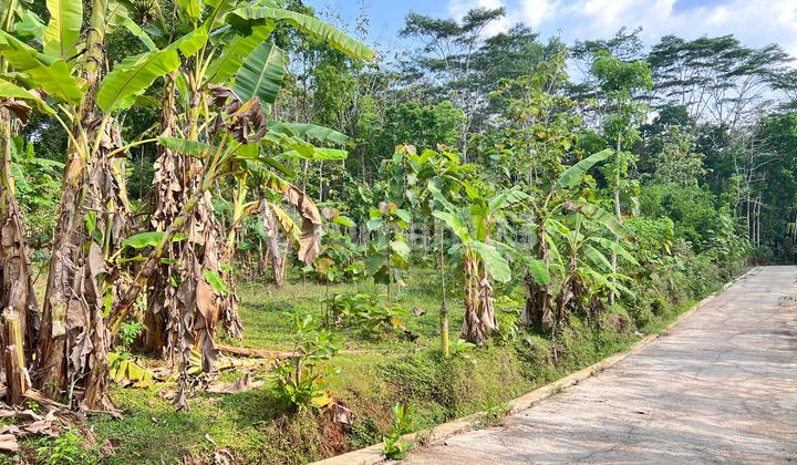 Tanah 2000m Utara Pasar Mojogedang Karanganyar 