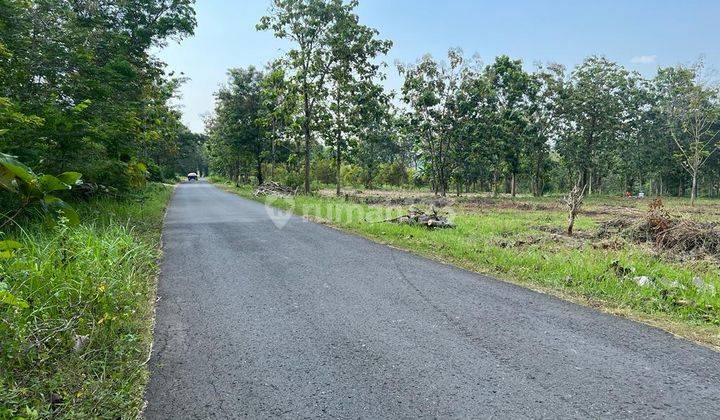 Tanah Zona Kuning Untuk Gudang 3000m2 Tepi Jl Raya Kerjo - Sragen 