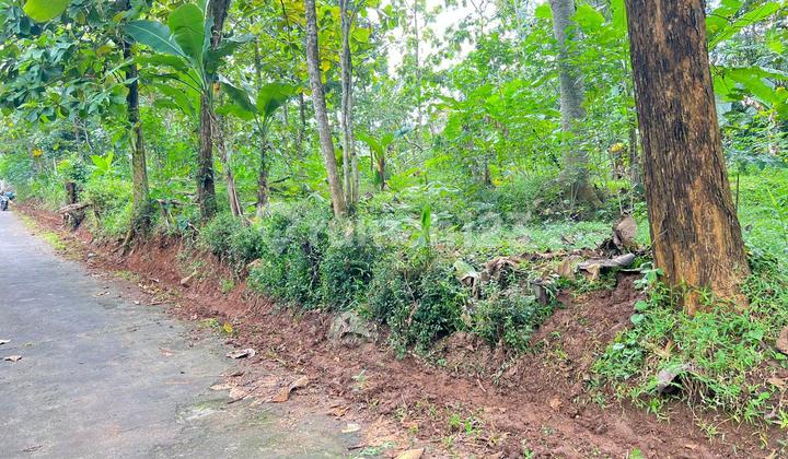 Tanah Datar Strategis 1218M2 Mojogedang Karanganyar Tanah Datar Strategis 1218M2 Mojogedang Karanganyar