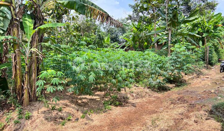 Tanah Datar 250 Juta Dekat Pasar Mojogedang 