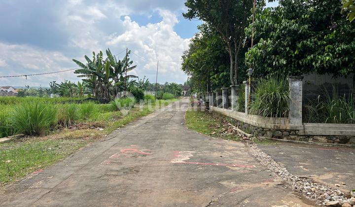 Jual Cepat Tanah Datar 389M² 150Jt Kerjo Karanganyar Jual Cepat Tanah Datar 389M² 150Jt Kerjo Karanganyar