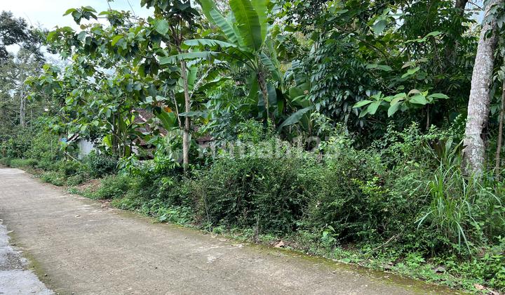 Ready to Build Land 1986m² Kerjo Karanganyar Ready to Build Land 1986m² Kerjo Karanganyar