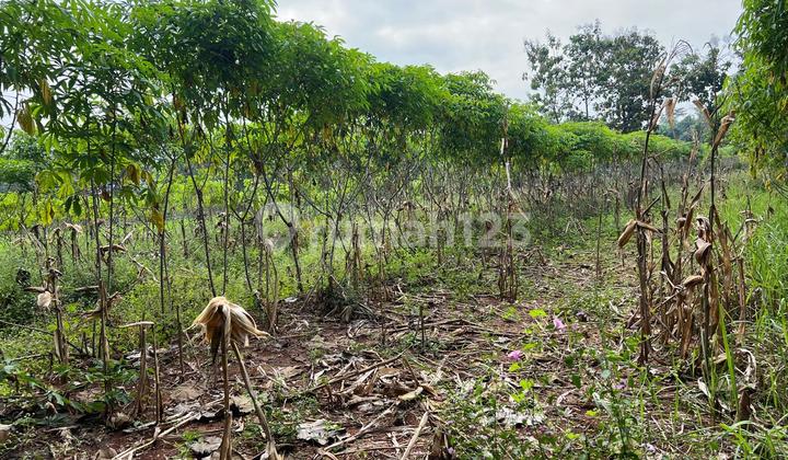 CHEAPEST!!!! Flat Land 750m 125 Million Kedawung, Sragen