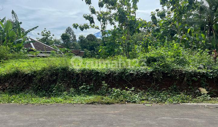 Tanah Hook 700m Selatan Kecamatan Kerjo Karanganyar Tanah Hook 700m Selatan Kecamatan Kerjo Karanganyar