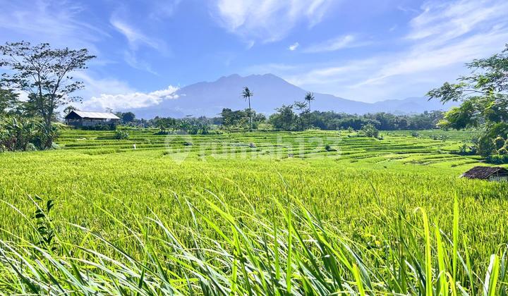 Tanah Datar View Gunung Lawu Karangpandan, Karanganyar
