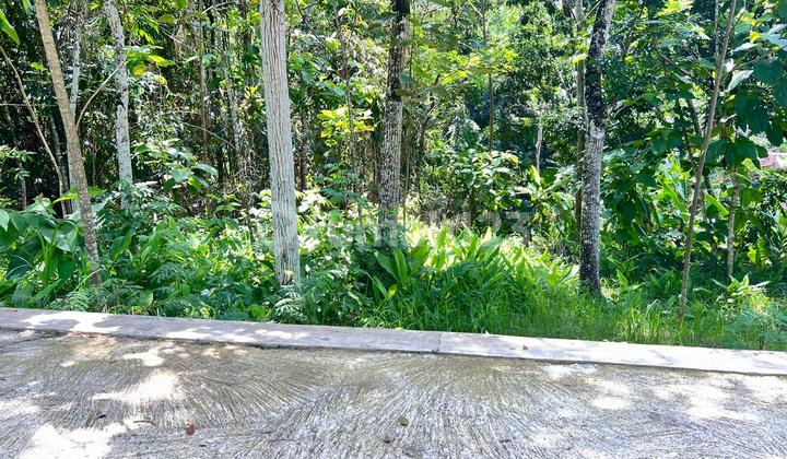 Tanah Mojogedang Karanganyar 1200M² Datar Siap Bangun Tanah Mojogedang Karanganyar 1200M² Datar Siap Bangun