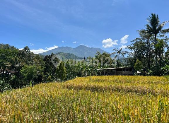 Tanah Dialiri Sungai Pegunungan Lawu Cocok Dibangun Villa/Homestay/Dll