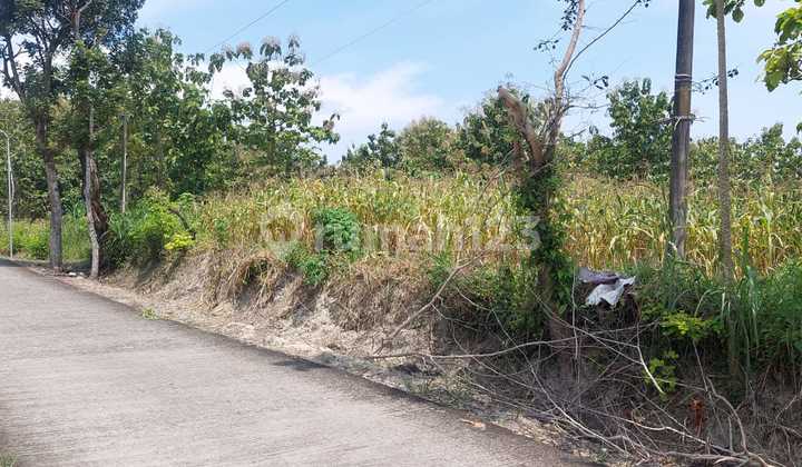 Jual Tanah Datar 8001m 90rb/m Siap Bangun Sragen 