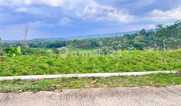 Tanah 4121M² View Hamparan Sawah Karanganyar