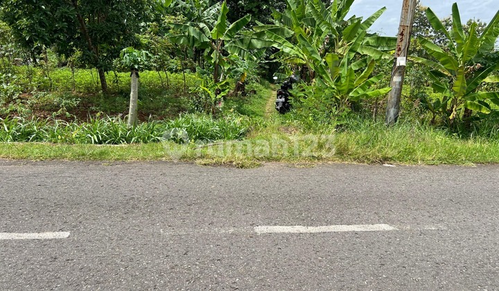 Flat Land 8000M² Only 200K/M Work Karanganyar Flat Land 8000M² Only 200K/M Work Karanganyar