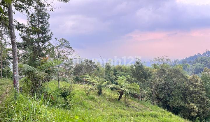 Tanah 275 Juta Kawasan Wisata Ngargoyoso 