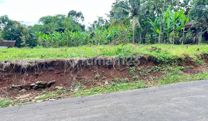 Durian Garden 700M² 250 Million Kerjo Karanganyar Durian Garden 700M² 250 Million Kerjo Karanganyar