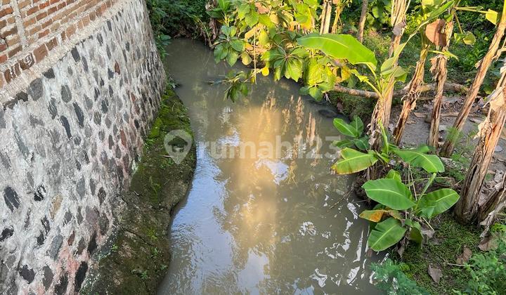 Rumah View Sawah 600m Kedawung Sragen  2