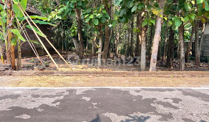 Flat Land 350 Million Suitable for Residence in Sragen