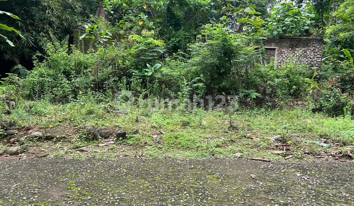 Tanah 125 Juta Cocok Investasi & Kebun Buah Karanganyar Tanah 125 Juta Cocok Investasi & Kebun Buah Karanganyar