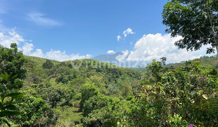  Tanah 82rb/m View Gunung Lawu Karanganyar 