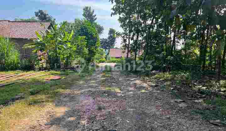 Land 2040m2~ 100 Million, Suitable for Fruit Orchard in Sragen