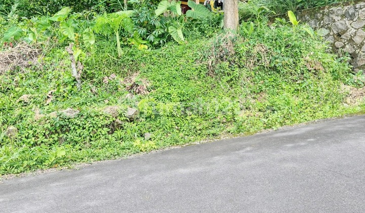 Tanah Investasi 400M2 Karangpandan Karanganyar Tanah Investasi 400M2 Karangpandan Karanganyar