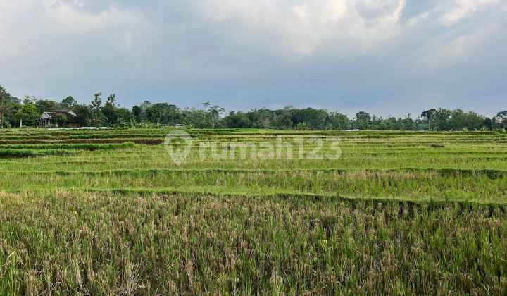 Tanah Sawah Subur 3681m Matesih Karanganyar 