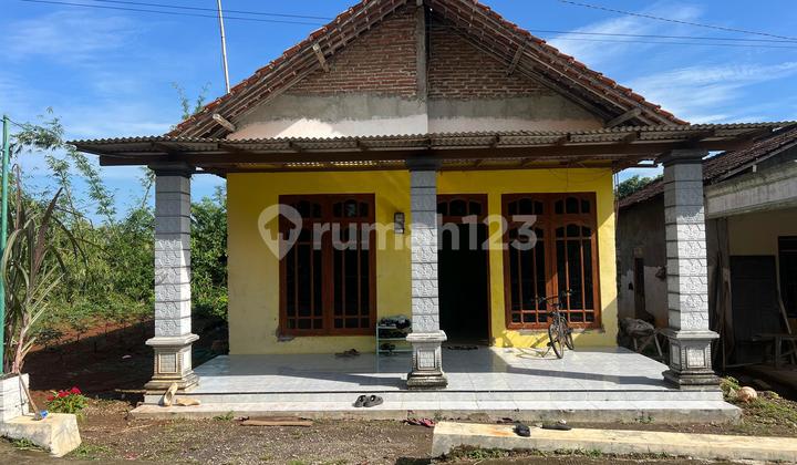 502M² House East of Kedawung Market Sragen