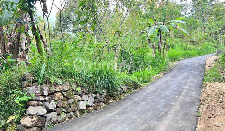 Tanah Istimewa 1721m Dekat Sungai Candi Cetho Karanganyar 