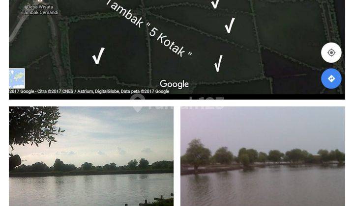 Dijual Tanah Tambak Murah. Cocok Untuk Perumahan Atau Tambak Udang Bandeng 2