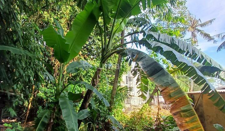 Villa Ubud Payangan 4 Br Sejuk Dekat Kintamani 2