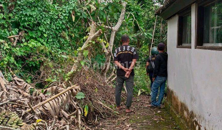 Tanah Tegalan Zona Kuning Lodtunduh Ubud Shm Area Tenang Cocok Untuk Vila 1