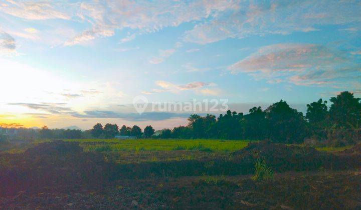 Rumah Cantik 1 Juta All in Tanpa DP Free Biaya Biaya Free KPR 32