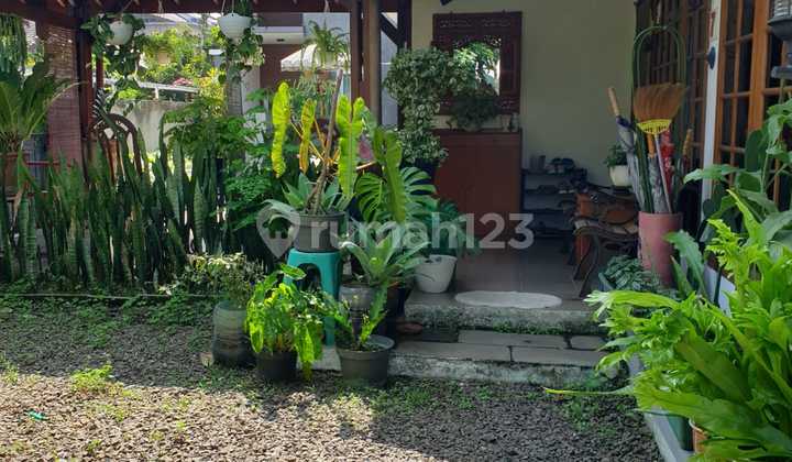 Dijual Rumah Bagus Asri Komplek Elit Pasteur Dijual Rumah Bagus Asri Komplek Elit Pasteur