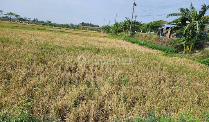 Dijual Tanah Sawah Jalan Lingkar Timur Cilacap Selatan Jawa Tengah 2