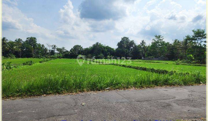 Tanah Jogja Sleman, 2 Jutaan, 130 Mtr Jalan Raya Degolan 2