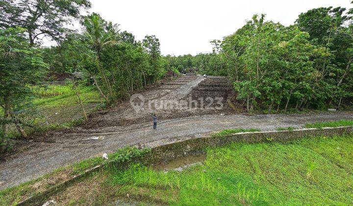 Tanah Dijual 2 Menit ke Pabrik Quick, Sentolo	 1