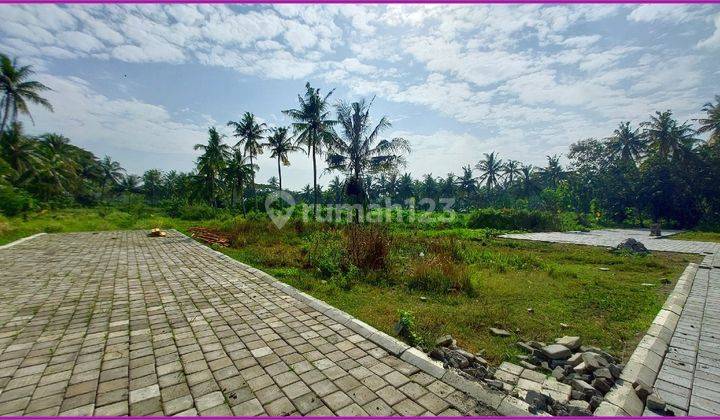 Tanah Pengasih Dekat Kampus UNY Wates Jogja	 2