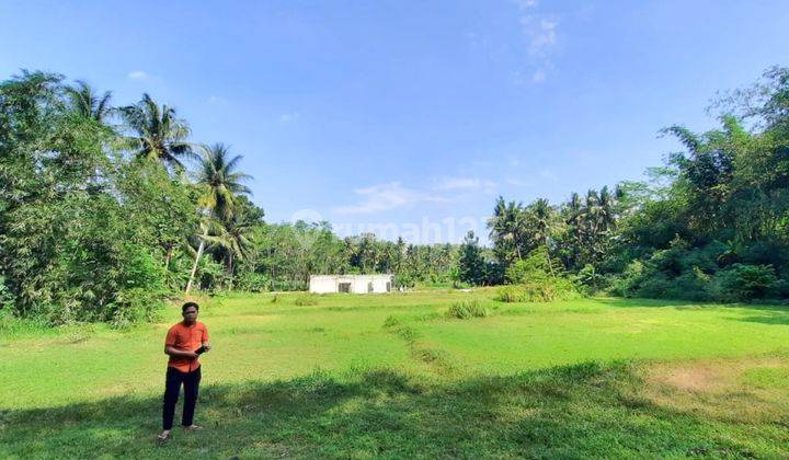 Kavling Murah Dekat Rs Nyi Ageng Serang Kulon Progo 1